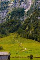Prato di erba a koenigssee, konigsee, parco nazionale di berchtesgaden, baviera, germania foto