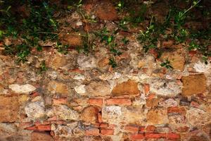 mattoni antichi, muro in pietra con edera. sfondo vintage, grunge foto