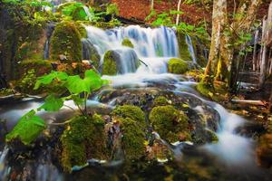 cascata nella foresta. acqua cristallina. foto