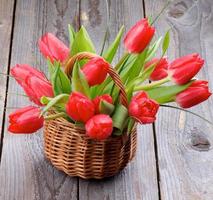 tulipani primaverili