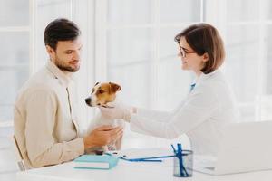 colpo di veterinario femminile si prende cura del bellissimo cane di razza in clinica, offre un buon trattamento, esamina l'animale, parla e dà consigli al proprietario, posa sul desktop nell'armadio. concetto di medicina e animali foto