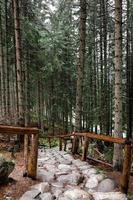 sentiero di pietra in un bosco in montagna. morske oko, polonia, europa foto