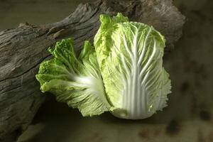 cavolo alimentare vegetale cinese su tavola di legno. foto