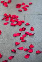 petali rossi per terra sul marciapiede foto