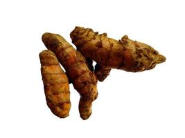 curcuma o curcuma longa su sfondo bianco foto