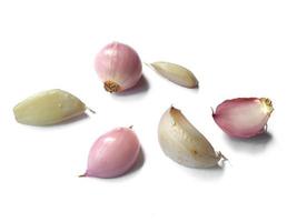 cipolla e aglio isolati su sfondo bianco foto