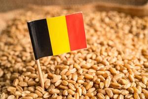 chicchi di grano con bandiera della germania, esportazione commerciale e concetto di economia. foto