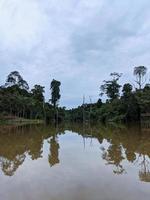 foto di lago e foresta