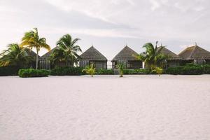 cabine esotiche su una spiaggia sabbiosa con palme e cespugli foto