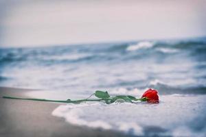 onde lava via una rosa rossa dalla spiaggia. Vintage ▾. amore foto