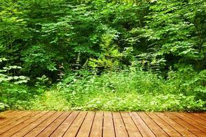 pavimento in legno in una foresta verde. terme, benessere, natura foto