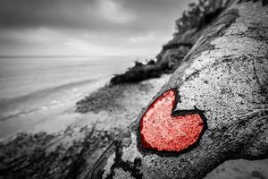 cuore scolpito nel tronco d'albero caduto sulla spiaggia selvaggia e dipinto di rosso. amore foto