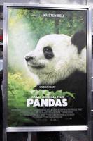 los angeles, 17 febbraio - atmosfera generale, poeta, panda alla prima mondiale di panda al teatro cinese tcl imax il 17 febbraio 2018 a los angeles, ca foto