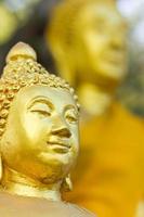 vecchia statua di buddha d'oro. foto