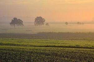paesaggio di campagna al mattino presto. foto