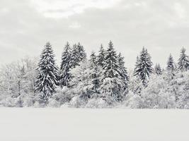 paesaggio invernale neve foto