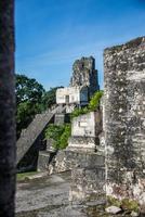 rovine Maya di Tikal, parco nazionale. viaggiare in guatemala.