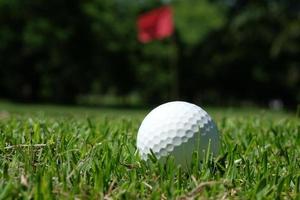 pallina da golf bianca su erba verde - immagine di riserva foto