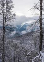 sport montagne paesaggi inverno turistico neve natura cielo blu foto