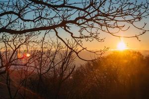 sole tra i rami e le nuvole all'alba colorata foto