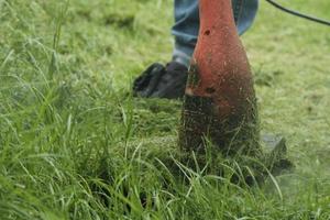 primo piano di un lavoratore maschio nel giardino di manutenzione dei jeans che utilizza un tosaerba elettrico per tagliare l'erba verde invasa nel cortile del prato, spargendo l'erba in estate, servizio di lavoro di abbellimento all'aperto. foto