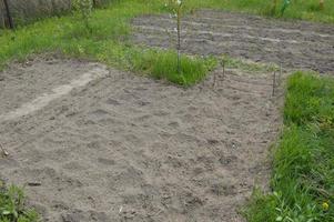 giardino preparato e aiuole per piantare ortaggi nel villaggio foto