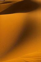 bellissime dune di sabbia nel deserto del Sahara in Marocco. paesaggio in africa nel deserto. foto