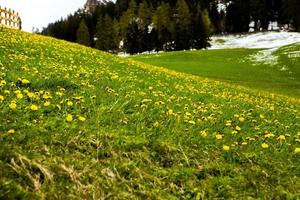 splendido scenario di montagna nelle alpi foto