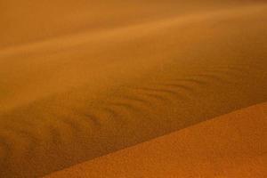 bellissime dune di sabbia nel deserto del Sahara in Marocco. paesaggio in africa nel deserto. foto