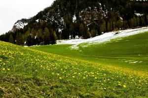 splendido scenario di montagna nelle alpi foto