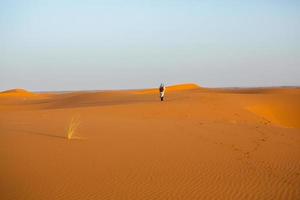 bellissime dune di sabbia nel deserto del Sahara in Marocco. paesaggio in africa nel deserto. foto