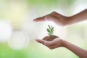 giornata mondiale dell'ambiente. albero di protezione della mano umana con la luce solare su sfondo verde della natura. foto