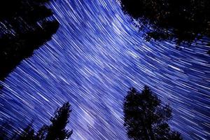tracce di stelle nella foresta nazionale di sequoia