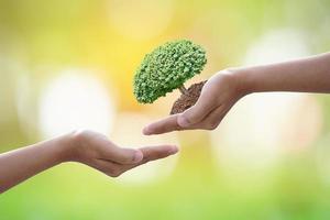 amiamo il mondo delle idee. piccolo albero natura sfocatura sfondo. Giornata mondiale dell'ambiente. foto