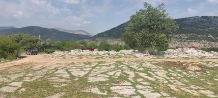 vista montagne e albero foto