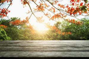 legno vuoto con fiore rosso sullo sfondo della natura foto