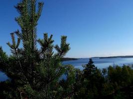 foresta sulle rocce sopra il lago foto