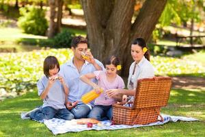 famiglia adorabile che fa un picnic nel parco foto