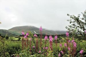 una vista degli altopiani scozzesi vicino a ben nevis foto