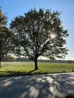 una vista del parco di richmond a londra sotto il sole invernale foto