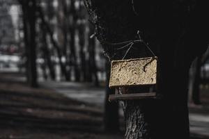 mangiatoia per uccelli in legno foto