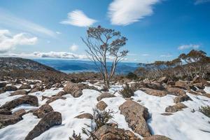 l'ambiente sulla cima del monte Wellington nella stagione invernale, città di hobart, stato della tasmania dell'australia. foto