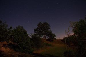 paesaggio notturno in campagna, composizione di alberi sotto un cielo stellato durante una notte limpida in una zona rurale. foto