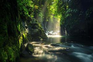 foto di paesaggi naturali e foreste tropicali in indonesia. vista della nuova cascata del vicolo nel nord di bengkulu. meta turistica per fotografi o per chi ama viaggiare