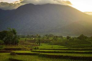 alba mattutina nella campagna di bengkulu, asia del nord, indonesia, la bellezza dei colori e la luce naturale del cielo mattutino foto