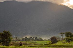 la bellezza di un panorama mattutino nebbioso con luce solare e risaie ai piedi della montagna in Indonesia foto