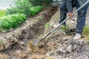 il giardiniere scava il terreno con la sua attrezzatura per il giardinaggio e prepara il terreno per la piantagione. foto