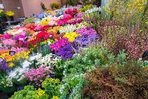 un sacco di fiori nel negozio di fiori al mercato del pesce del mercato di kuromon ichiba, osaka, giappone. foto