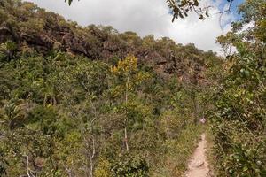 il sentiero escursionistico lungo le cascate indaia vicino e formosa, goias, brasile foto