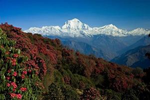 bellissimo paesaggio in himalays, regione di annapurna, nepal foto